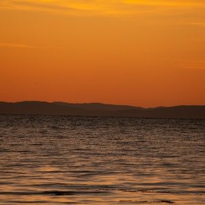 Meet your Posher, Ludo